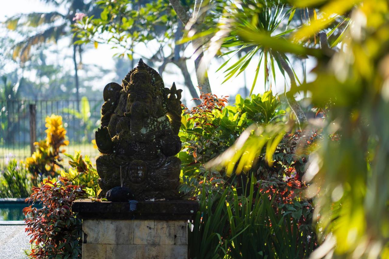 Villa Mandi Ubud Екстериор снимка